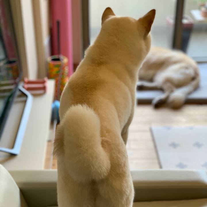 3d392e7a eb3a 44e6 8e8d 12003bef1e6d 1555118742476