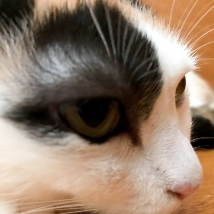 3d393542 75d7 43be be10 5c0e8723dd97 1532183363798