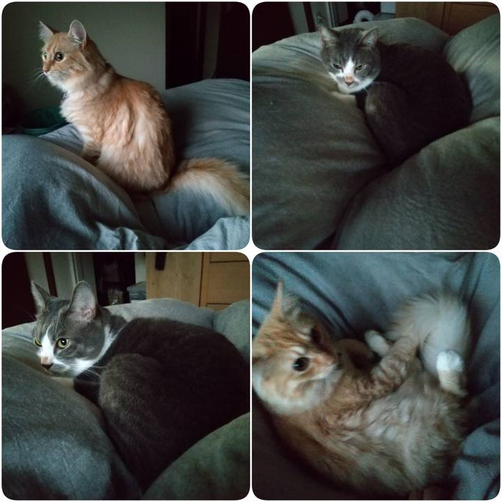 3d39492e feeb 4243 8495 04bba87aac32 1634939651074