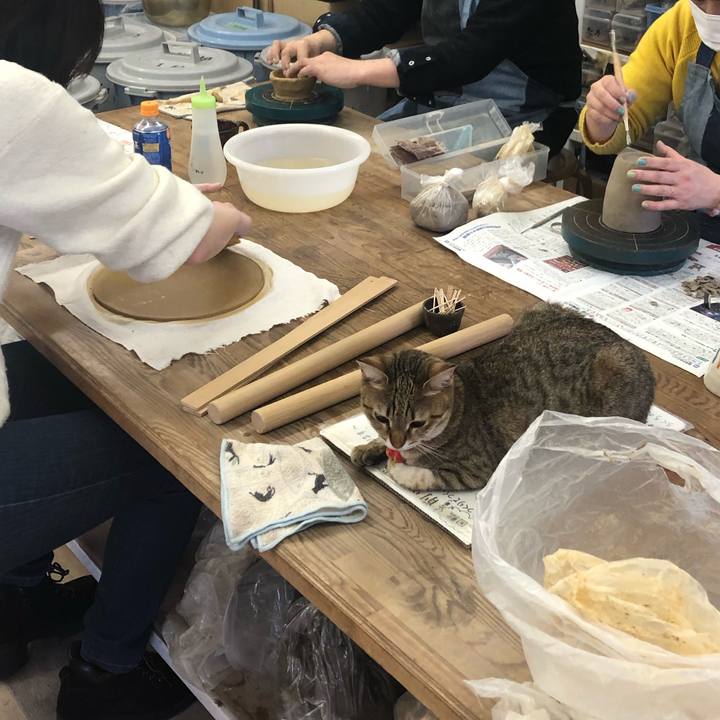 3d3982ea a432 4988 8cc0 9daecc8395e4 1614326895750