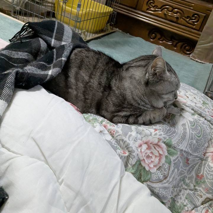 3d3994be 6c48 474a 8c42 f01dc99c7f23 1769249958337