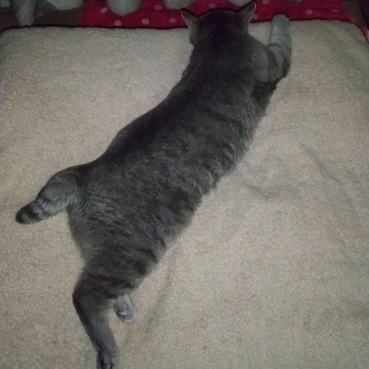 3d39e5d7 be0f 42ce a58e 72a3d06389a3 1685983542026