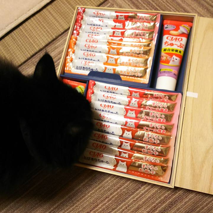 3d3a369e 86f3 4f20 ac91 fc39c38d5269 1544536392117