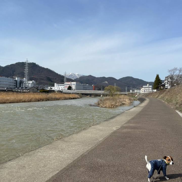 3d3a4478 866d 4c4c 9623 9424f96d7b48 1648624626861