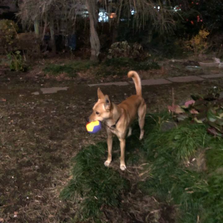 3d3a4c48 6cd5 4c62 bf17 3a8aaae39eee 1545572122613