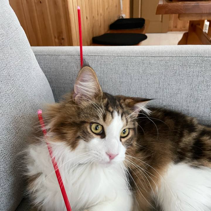 3d3a8b87 187a 4e8c a88f af388809fa4d 1653944950632