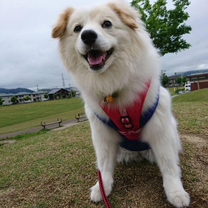 3d3acf64 2231 4b41 88fd 2d224536299b 1526624309864