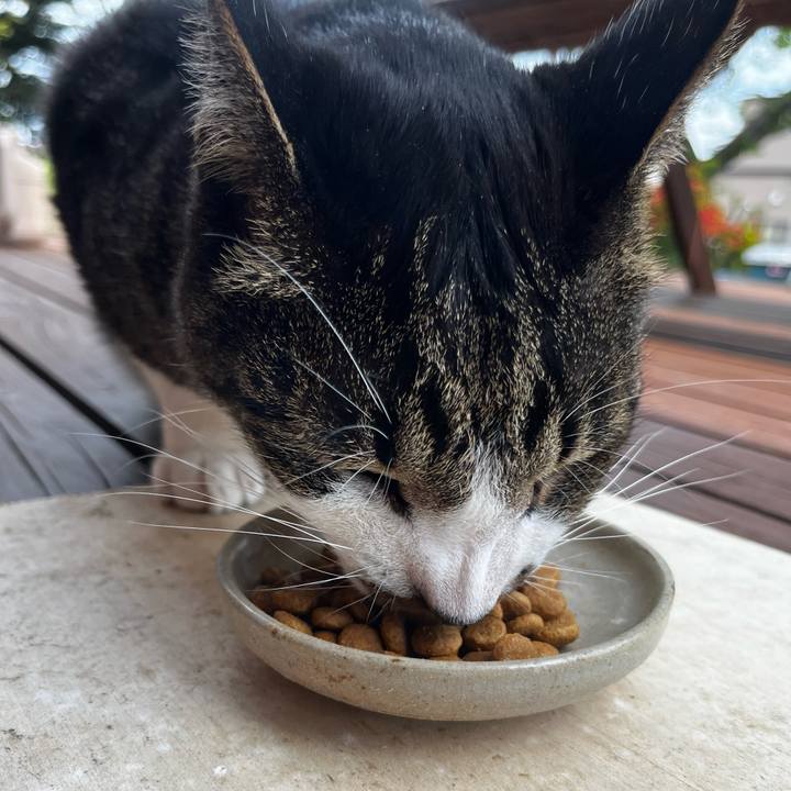 3d3ae9ca 38ff 4162 a268 e655cf48a073 1716371844803