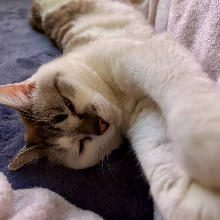 3d3aeae1 ef52 4abe 8156 900b02907525 1735804874743