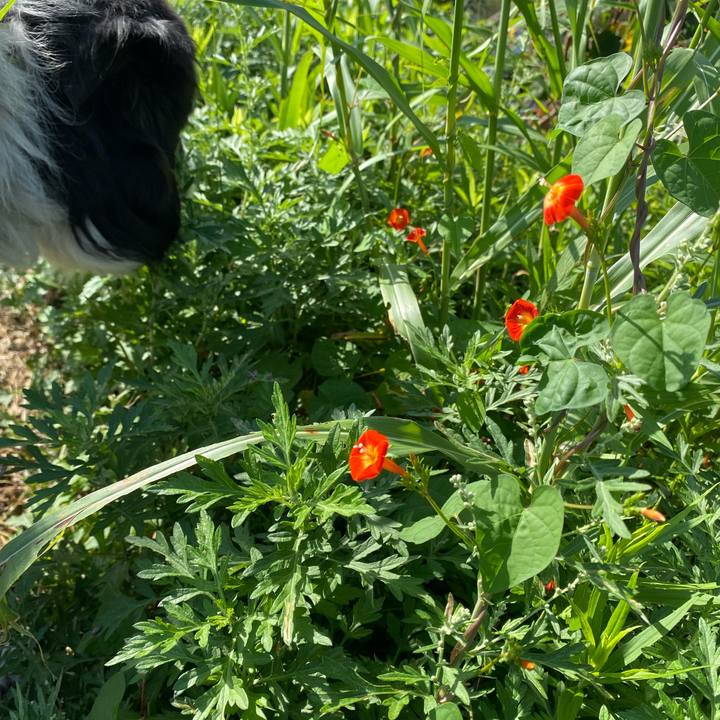 3d3b0278 1270 4360 964c b2eec1192228 1633222561889