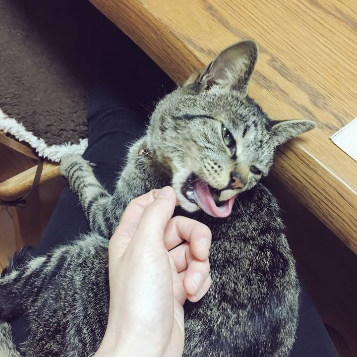 3d3b0696 81b7 4faa 9850 e2cdbc2e913d 1523196073029