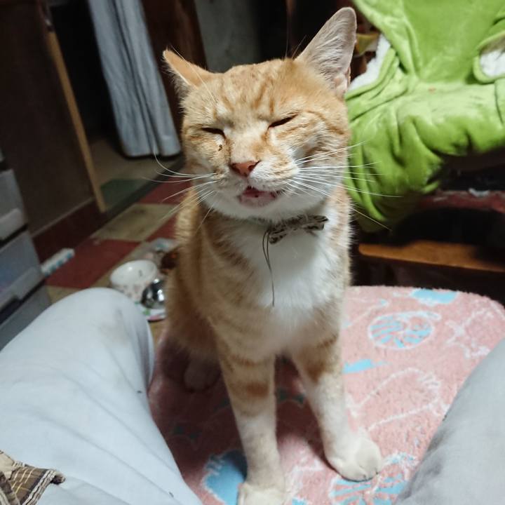 3d3b4226 418d 4e80 b0b5 42f57427c41a 1591040411986