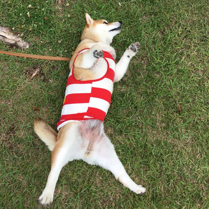 3d3b882f 1e74 4820 9b86 32fa28a764b6 1559977792453