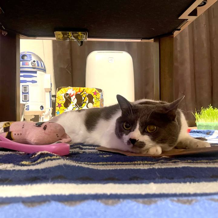 3d3bc0d9 6862 41bc a15c 1fa19286731d 1685615715294