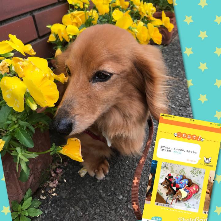 3d3bf8f7 23d6 4d13 8644 2281f787ca51 1526023465217