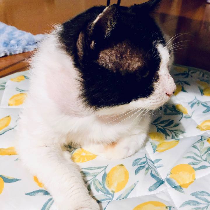 3d3c0bab 482f 4d74 ab52 eb2fc30ce6af 1620731188562