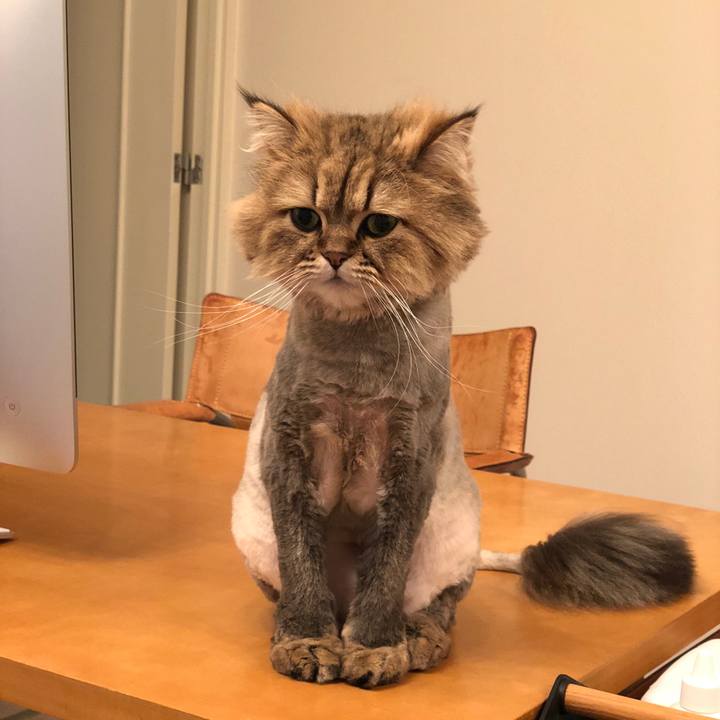 3d3c5e0d 37f2 4844 8a4d 3111e638bd97 1523541702132