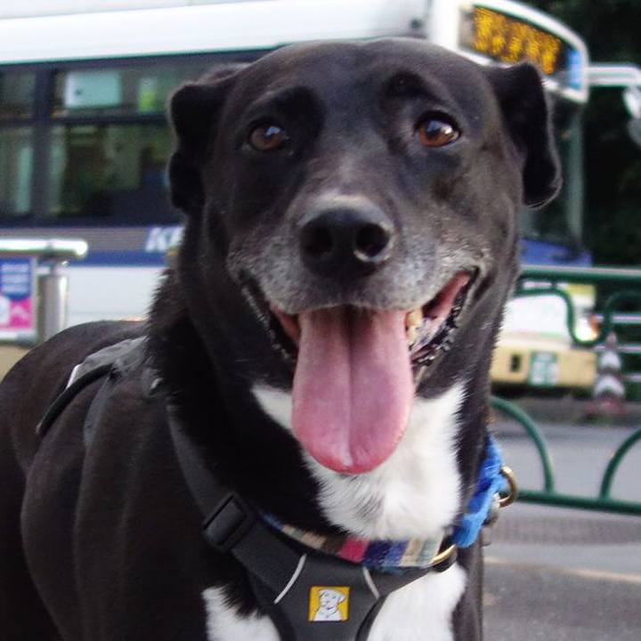 3d3c5e22 d140 4adc a0ba 72340fb55a4b 1658313877865