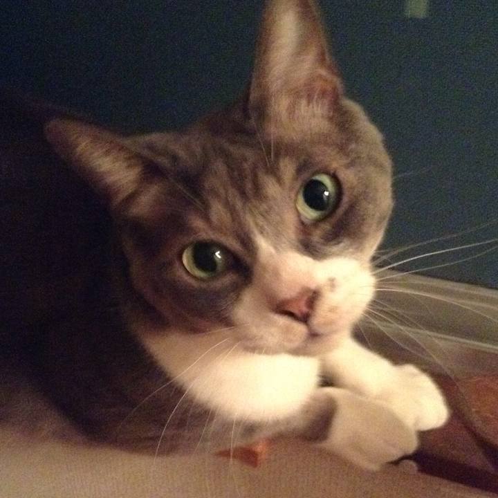 3d3c8128 bac4 45e3 8796 5ab6778c4238 1527252728172