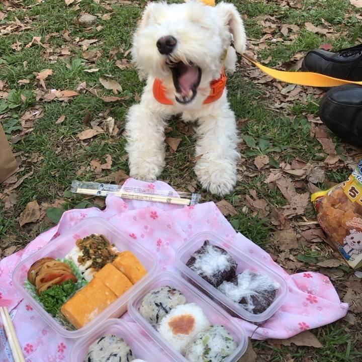 3d3c8f84 40b7 4b7f b03e 946c7550265b 1522248174519