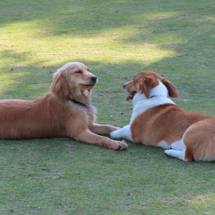 3d3c96fb b9ae 495e 96db adf9d7b5dc63 1620052453076