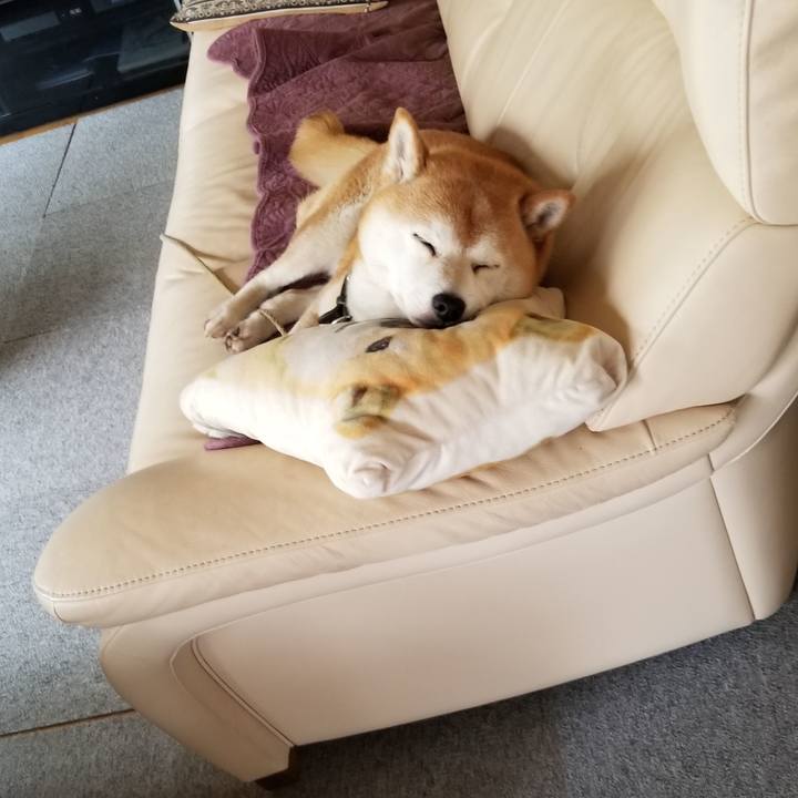 3d3c9861 0ce0 46c1 9db1 bf97e785aee8 1624422743749