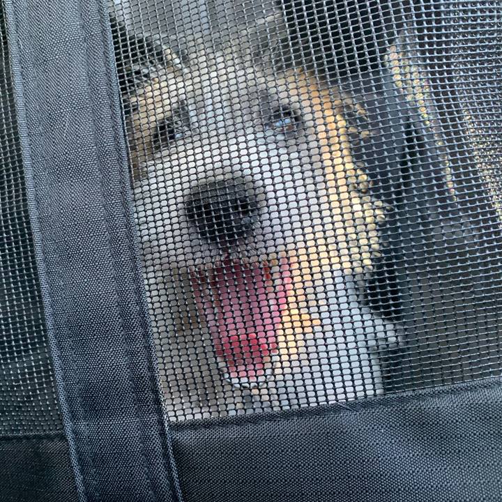 3d3c98de 47a0 4a05 a0de de999c1edfd4 1568859855246