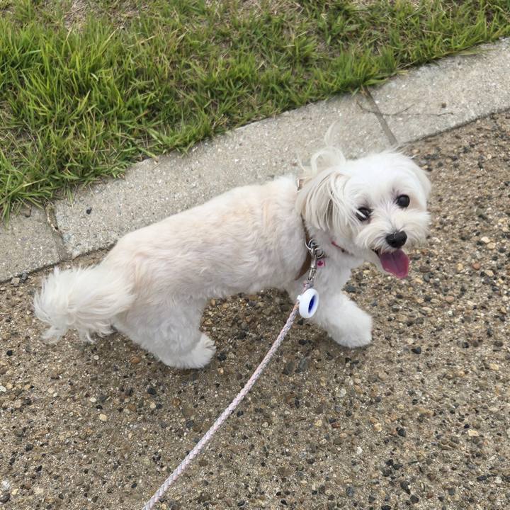 3d3c9f37 1490 48cc 8396 3761cb480853 1760159257225