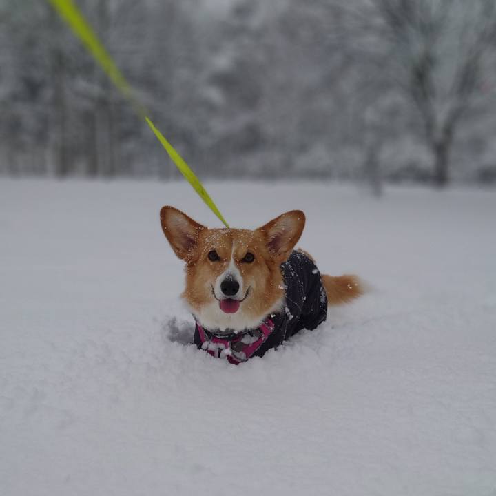 3d3cbac9 b5a1 4ae8 8df8 d643d85f8e2d 1767247505588