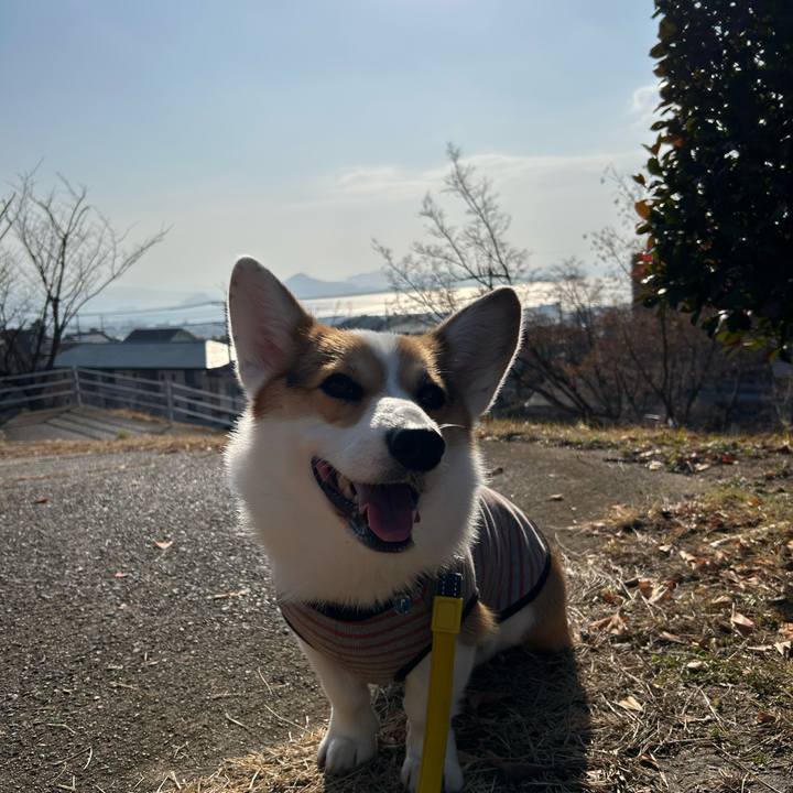 3d3d6783 59ba 445b bcaf 886a9d00bc80 1768276290998