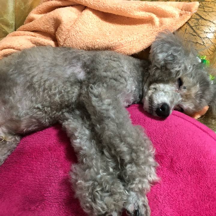 3d3d9355 7301 4b52 acdd 787d837994a0 1568778529312