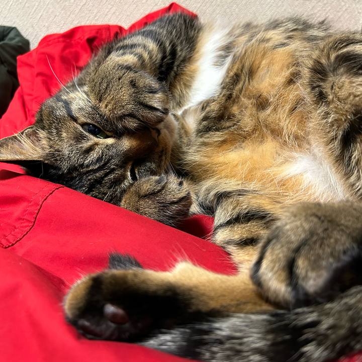 3d3db05b b1fc 4161 b303 e32333628c26 1674649035376