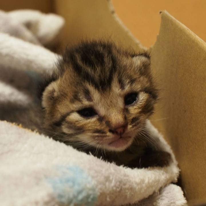 3d3e1407 c5ef 4d52 a575 3ef553612586 1558534442154