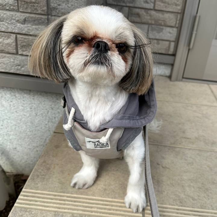 3d3e216c 9683 4c85 b00e e3583e53b573 1675221929165