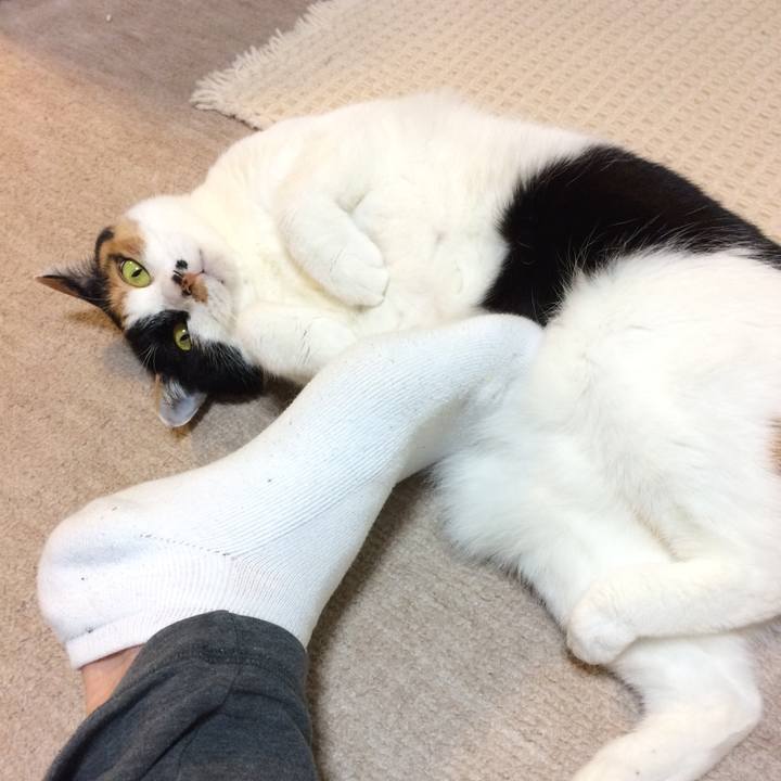 3d3e3199 1f6a 4b3f 991d 62334c1a603e 1585261788033