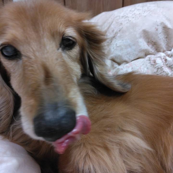 3d3e4710 4adc 4666 9dc1 ab450a1b3596 1674467871128