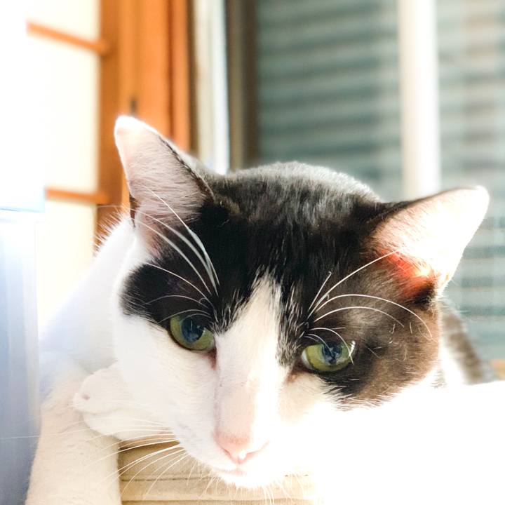 3d3e6a5c 6e87 4b23 b41d 7806ea9d4e07 1566005918403