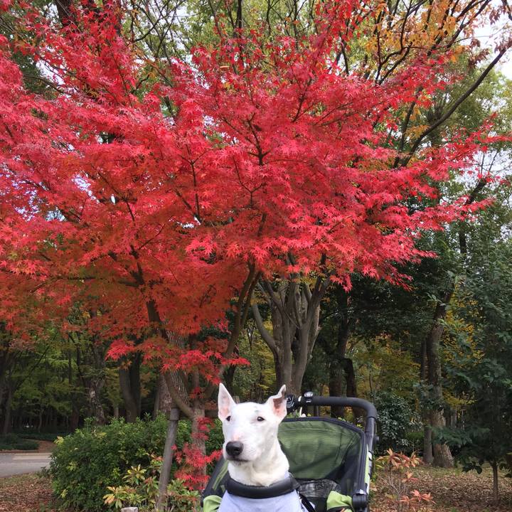 3d3e8776 e57e 4f18 99b5 51c3b98ba83e 1511361398586