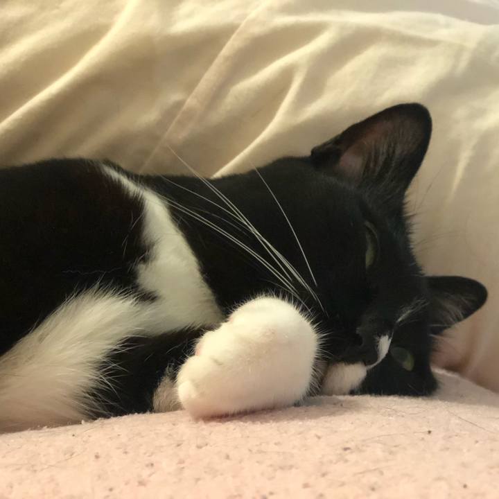 3d3e9494 b05d 4e52 8d21 14c6c5cb52c5 1565497494428