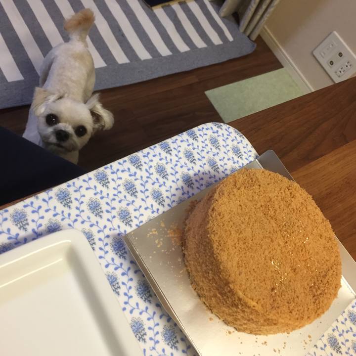 3d3eb587 ac10 4ec1 a9ba 81f73e53e2ab 1513425519279