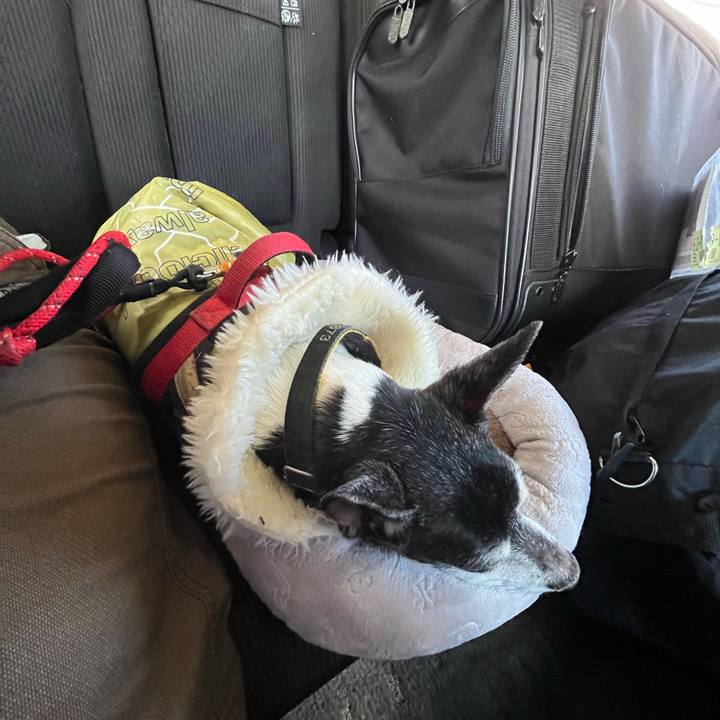 3d3eec1c bfee 4bd1 af65 ffc8b29cb6b0 1639807359186