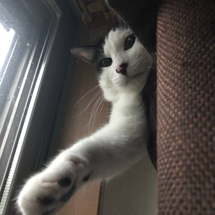 3d3ef45e 63fb 4b3e 9de0 878512667954 1560585280462