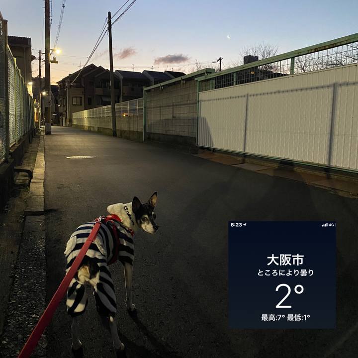 3d3ef658 e070 4bd8 99b5 e4c6cf99c9e6 1612822659444