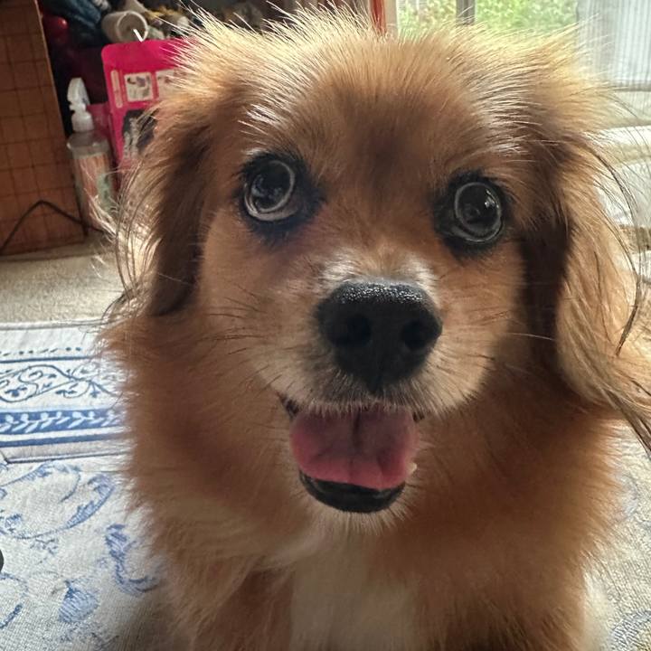 3d3f0e08 8933 4aef a97e 701d88e16765 1694725856875