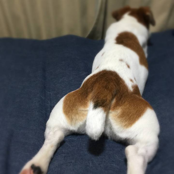 3d3f286d 1d87 40b8 9e0f 0e0fa44f14d6 1528810767009