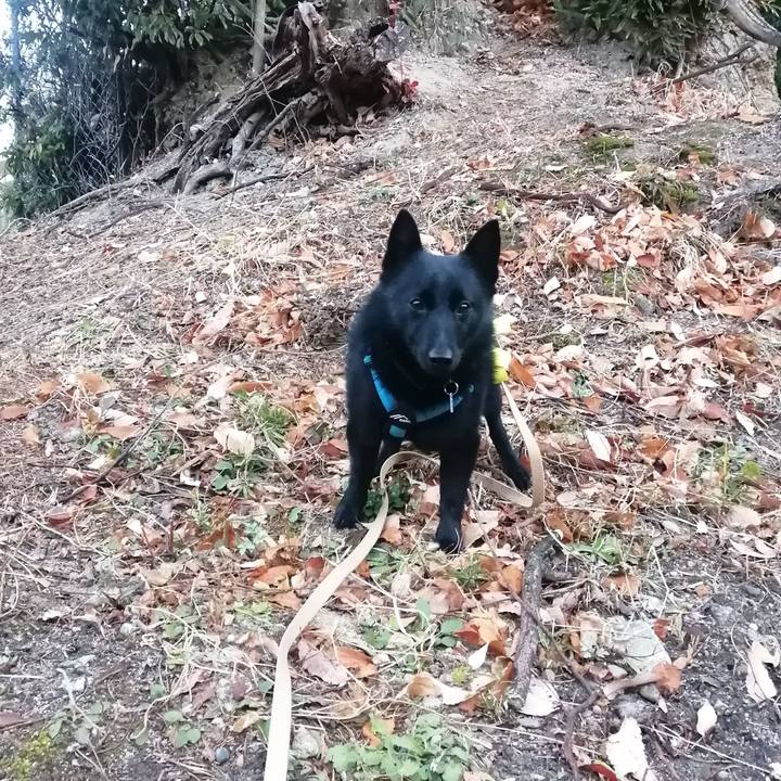 3d3f31fd 286b 4b9c baec 519de60fd747 1640124181552