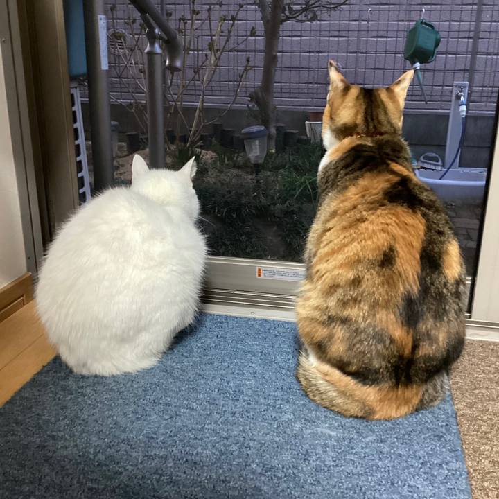 3d3f4bfb f25d 42ea b3d6 6eb434630e1e 1678223632241