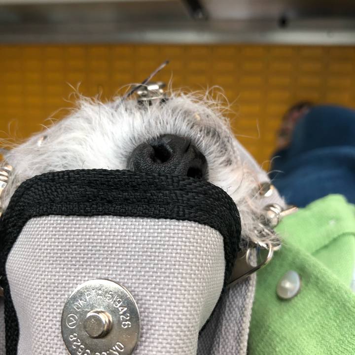 3d3f5502 ee1c 4d5a 8834 9f8e8fdca465 1598056236823