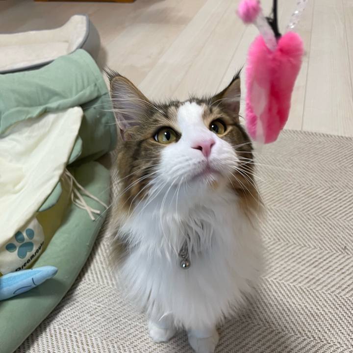 3d3f58ee 59ce 47bf ad62 1b719c782d9f 1646083807041