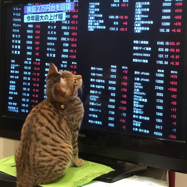 3d3f6267 1874 4b5c a67c 52c3a846946a 1546570472967